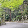 我が国最古の神社のひとつで朝は鶏がたくさんいます