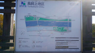 鳥飼大橋の上手