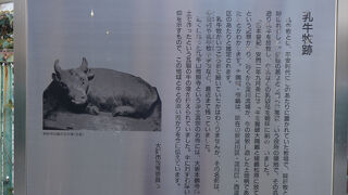 朝廷の薬などを司る典薬寮という役所の領地