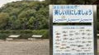 翠嵐 ラグジュアリーコレクションホテル 京都
