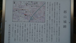 郡山城跡 (大阪府)