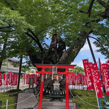 秩父今宮神社