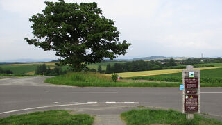 マスクを外してしまいました