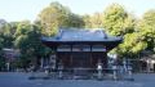 真龍寺様確認用 真龍寺 - 茨木市/大阪府 | Omairi(おまいり)