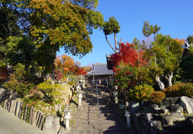 【真龍寺ページ①】 真龍寺】アクセス・営業時間・料金情報 - じゃらんnet