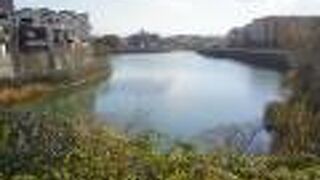 史跡新池ハニワ工場(はにわこうば)公園