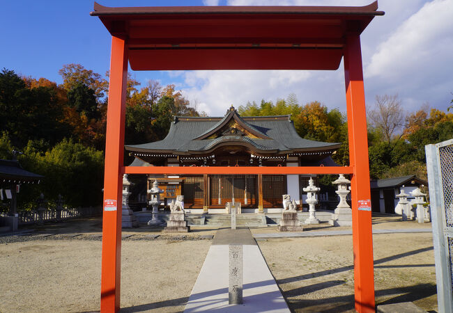 鳥の神殿 闘鶏野神社・闘鶏山古墳 | 高槻市営バス