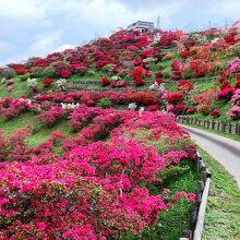 水戸線の電車からも一瞬見えるほど目立つ