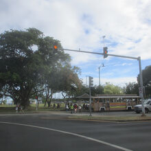 ワイキキ トロリー