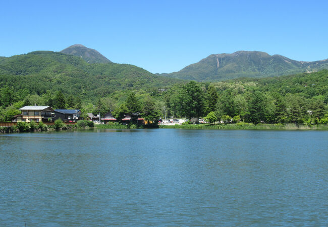 蓼科山　白樺湖 白樺高原(蓼科山)の紅葉(長野県) ｜紅葉名所2024
