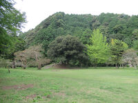 津和野藩藩邸跡