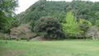 津和野藩藩邸跡