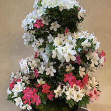 さいたま市大宮盆栽美術館