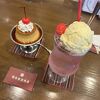 館林駅前商店はレトロなサテン