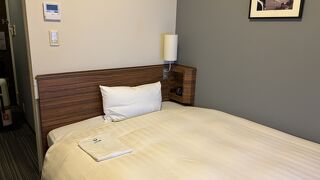 ヴィアイン品川大井町