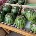小玉スイカの名産地