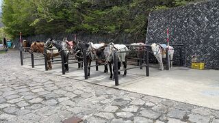  富士吉田市乗馬組合