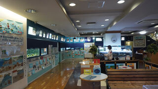 西宮市 環境学習サポートセンター ミニミニ水族館