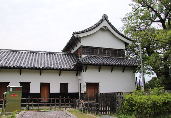 江戸城を凌駕する天守台の石垣、どんなに豪壮な天守閣を建てるつもりだったのか想像するだけでも楽しい