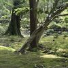 事前申し込み予約制のため落ち着いて参拝できる