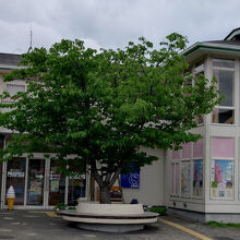 河津桜観光交流館