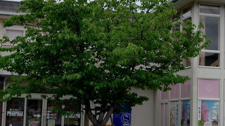 河津桜観光交流館