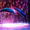 水族館