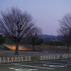 けっこうスケールの大きな公園