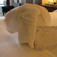 タオルの象さん