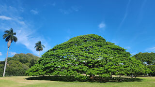 一度は行ってみて下さい