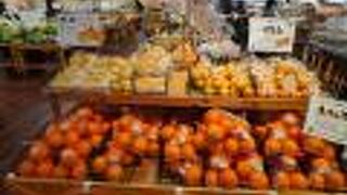 産直市場よってって (道の駅 くどやま店)