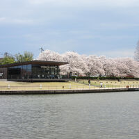 スターバックスコーヒー 富山環水公園店