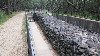 元寇防塁 (今津)