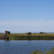 霞ヶ浦浮島湿原の風景