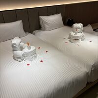 お誕生日の宿泊にクマちゃんタオル