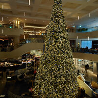 吹き抜けホールにはクリスマスツリー