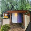 ごま鯖、塩焼き、白飯、明太子、贅沢な朝食！