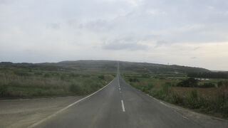 シュガーロード (サトウキビ畑の一本道)