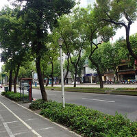 ホテル前に中山北路。緑多く、気持ちがいい