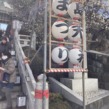 湯島天神梅祭り