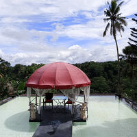 フロント前の池、ここでヨガがある