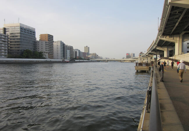 隅田川を走る水上バスの発着所　案内所等があるのでトイレ等も利用可、周辺は別会社の屋形船の集合等にも利用