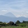 富士山が見えて、犬と食事のできるテラス席があります