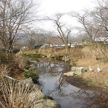 ホテルの傍の小川