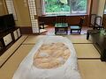 四万やまぐち館 写真