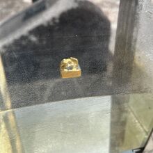 金印公園