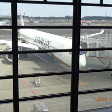 昼間なので機体が見えました。