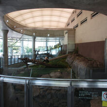 アドベンチャーワールド