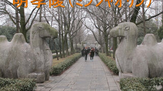 中国の博物館 第４巻 南京博物院 南京博物院編 限定2000部 4K] 探秘南京博物院｜穿越千年，沉浸式历史之旅- YouTube
