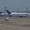 滑走路が近いしB747ドリームリフターが見られる！